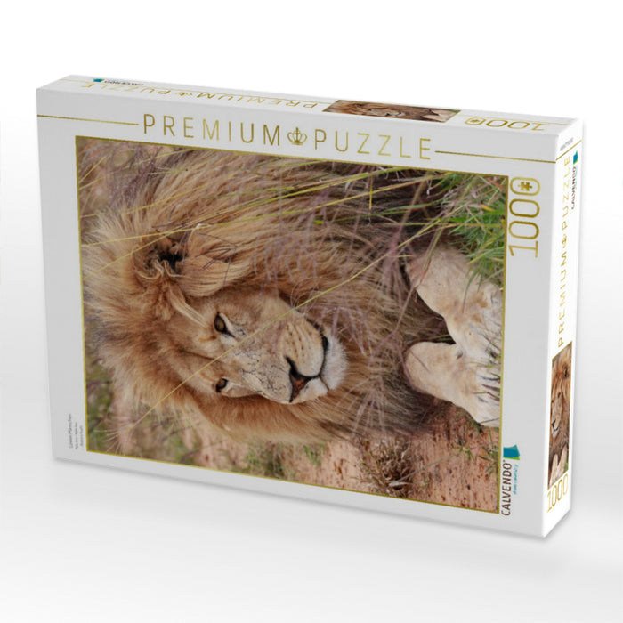 Löwen Männchen - CALVENDO Foto-Puzzle'