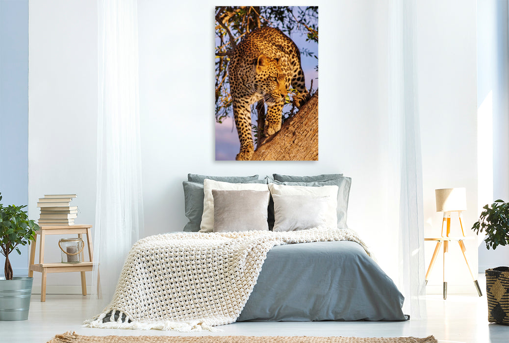 Premium Textil-Leinwand Premium Textil-Leinwand 80 cm x 120 cm  hoch Leopard