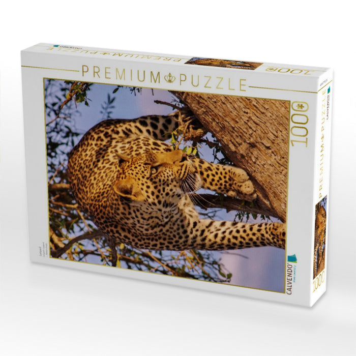 Leopard - CALVENDO Foto-Puzzle'