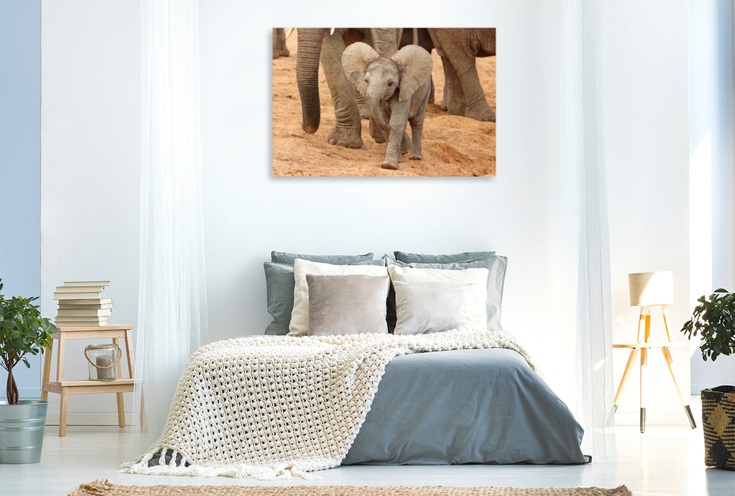Premium Textil-Leinwand Premium Textil-Leinwand 120 cm x 80 cm quer Fröhliches Elefanten Baby