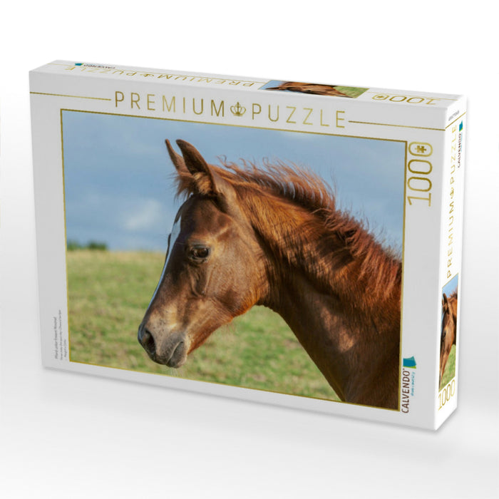 Pferd unter freiem Himmel - CALVENDO Foto-Puzzle'