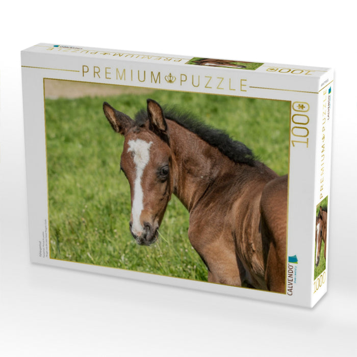 Fohlenportrait - CALVENDO Foto-Puzzle'