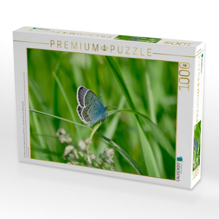 Ein Motiv aus dem Kalender Fauna trifft Flora - Tierischer Besuch im Pflanzenreich - CALVENDO Foto-Puzzle'