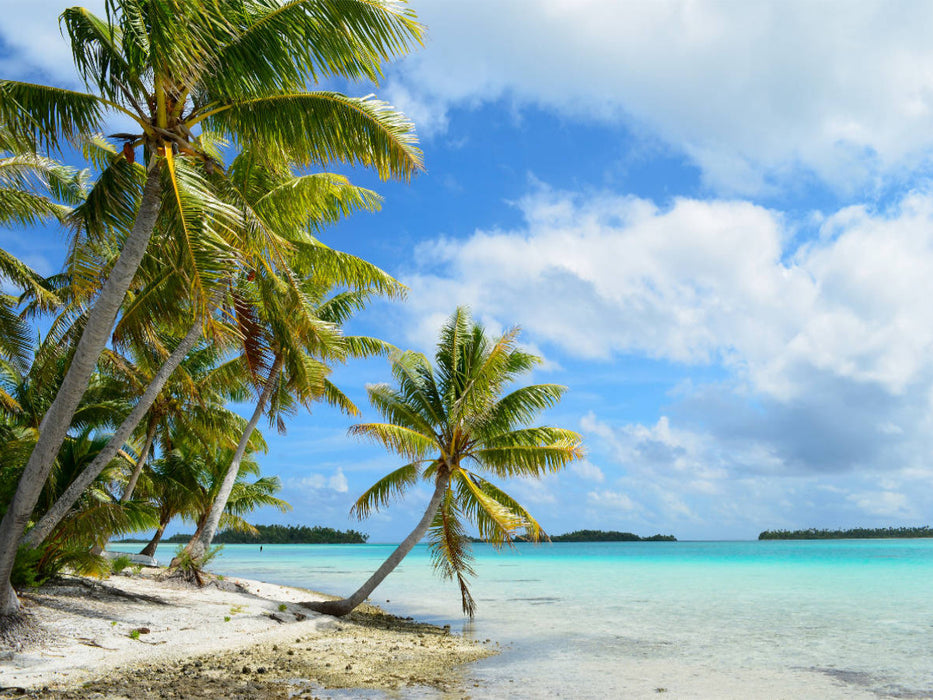 Strand mit Palmen - CALVENDO Foto-Puzzle'