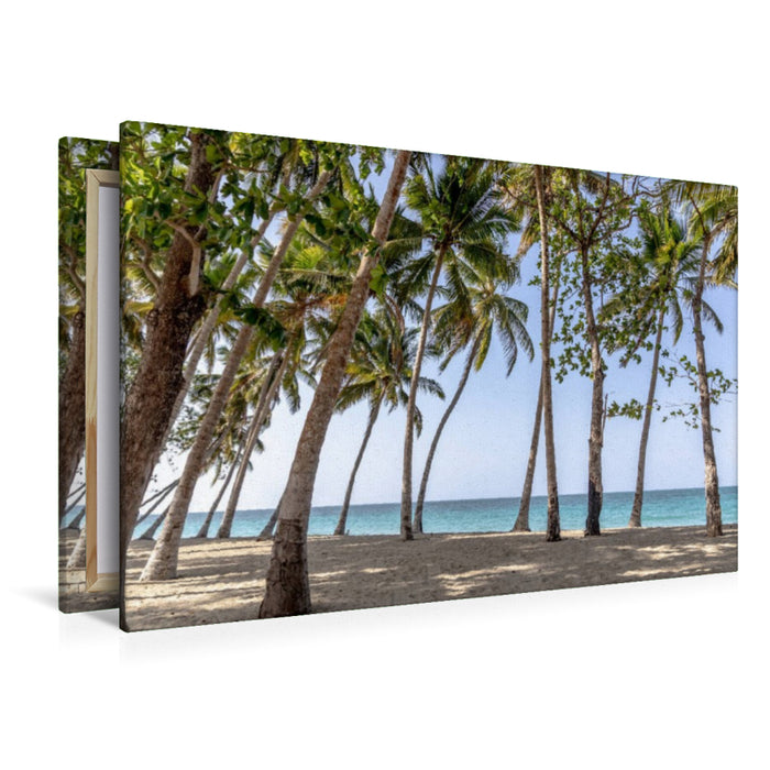 Premium Textil-Leinwand Playa Rogelio