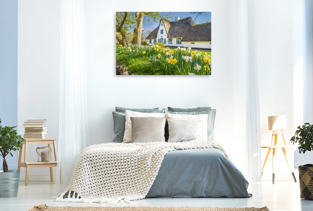 Premium textile canvas Premium textile canvas 120 cm x 80 cm across Historical thatched roof house with daffodils on Sylt 