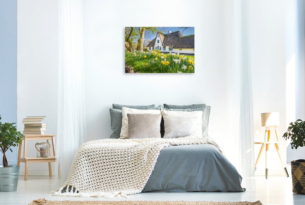 Premium textile canvas Premium textile canvas 120 cm x 80 cm across Historical thatched roof house with daffodils on Sylt 