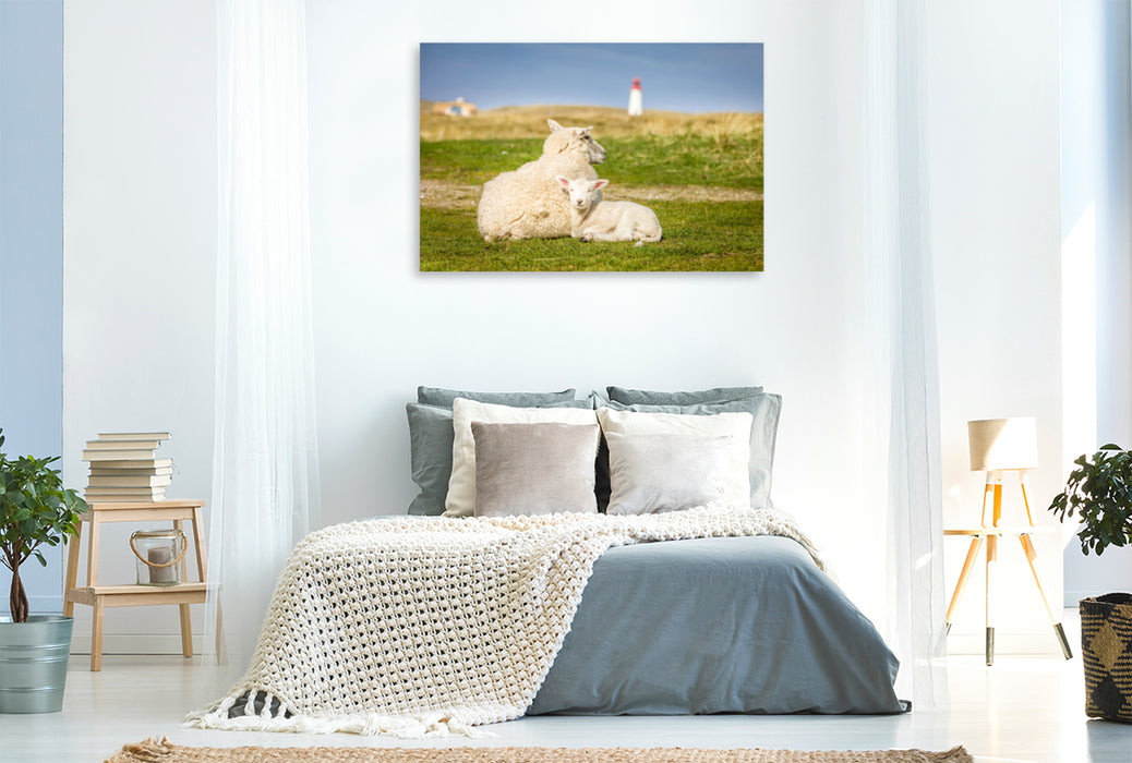 Premium textile canvas Premium textile canvas 120 cm x 80 cm across Sheep in the Ellenbogen nature reserve on Sylt 