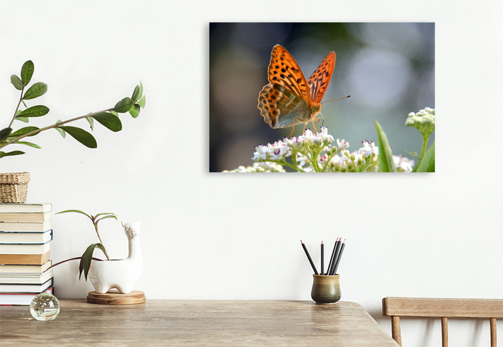 Premium Textil-Leinwand Premium Textil-Leinwand 120 cm x 80 cm quer Ein Motiv aus dem Kalender Schmetterlinge in Europa
