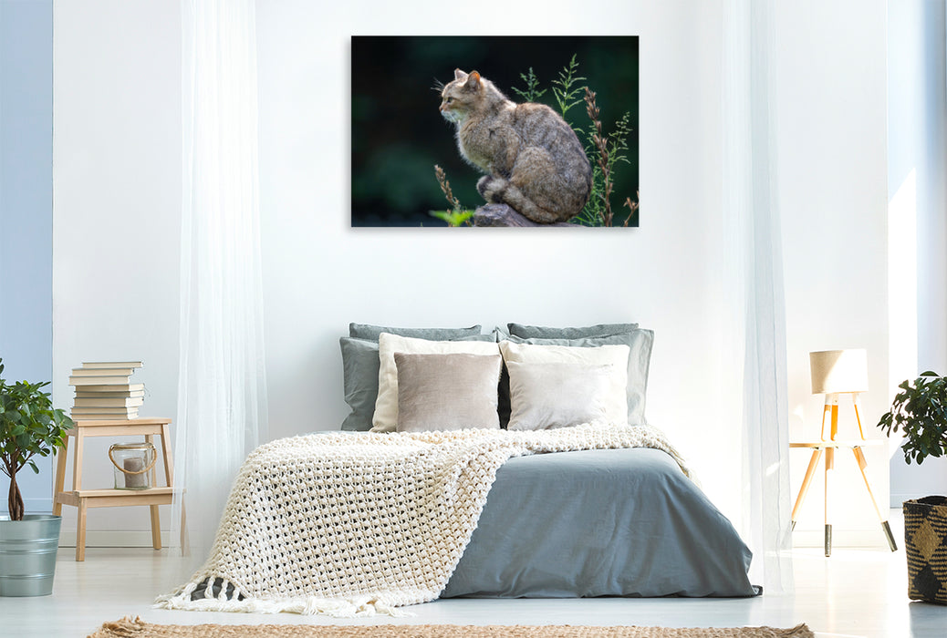 Premium Textil-Leinwand Premium Textil-Leinwand 120 cm x 80 cm quer Eleganz und Schönheit - die Wildkatze.