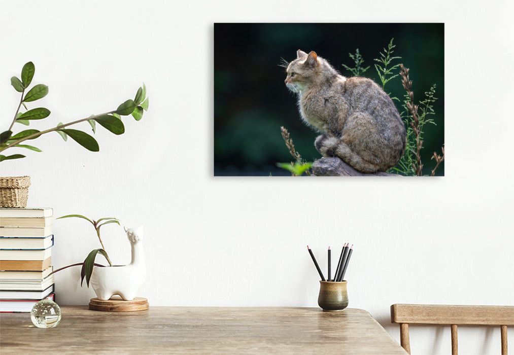 Premium Textil-Leinwand Premium Textil-Leinwand 120 cm x 80 cm quer Eleganz und Schönheit - die Wildkatze.