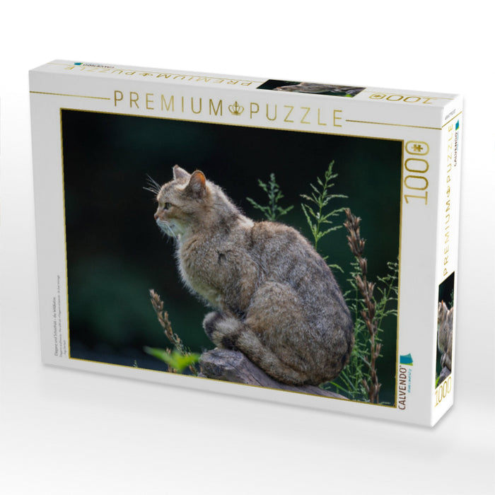 Eleganz und Schönheit - die Wildkatze. - CALVENDO Foto-Puzzle'
