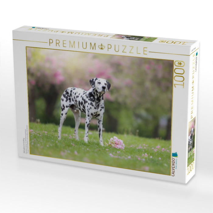 Dalmatiner im Frühling - CALVENDO Foto-Puzzle'