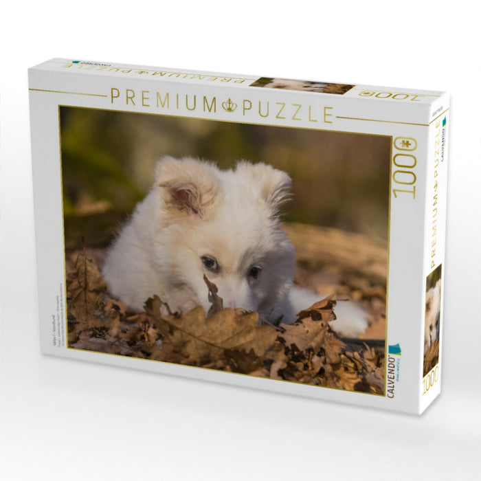 Welpe 1 - Islandhund - CALVENDO Foto-Puzzle'