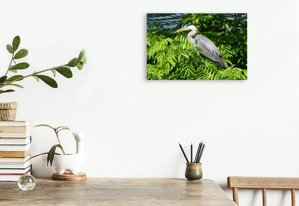 Premium textile canvas Premium textile canvas 120 cm x 80 cm landscape Gray Heron 