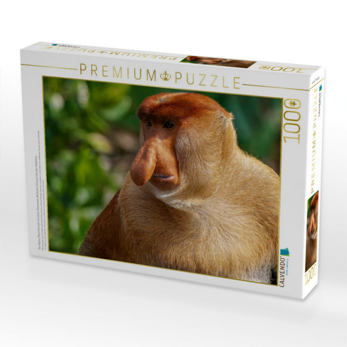 Das Alpha-Männchen hat mit seiner Riesennase die besten Chancen bei den Weibchen - CALVENDO Foto-Puzzle'