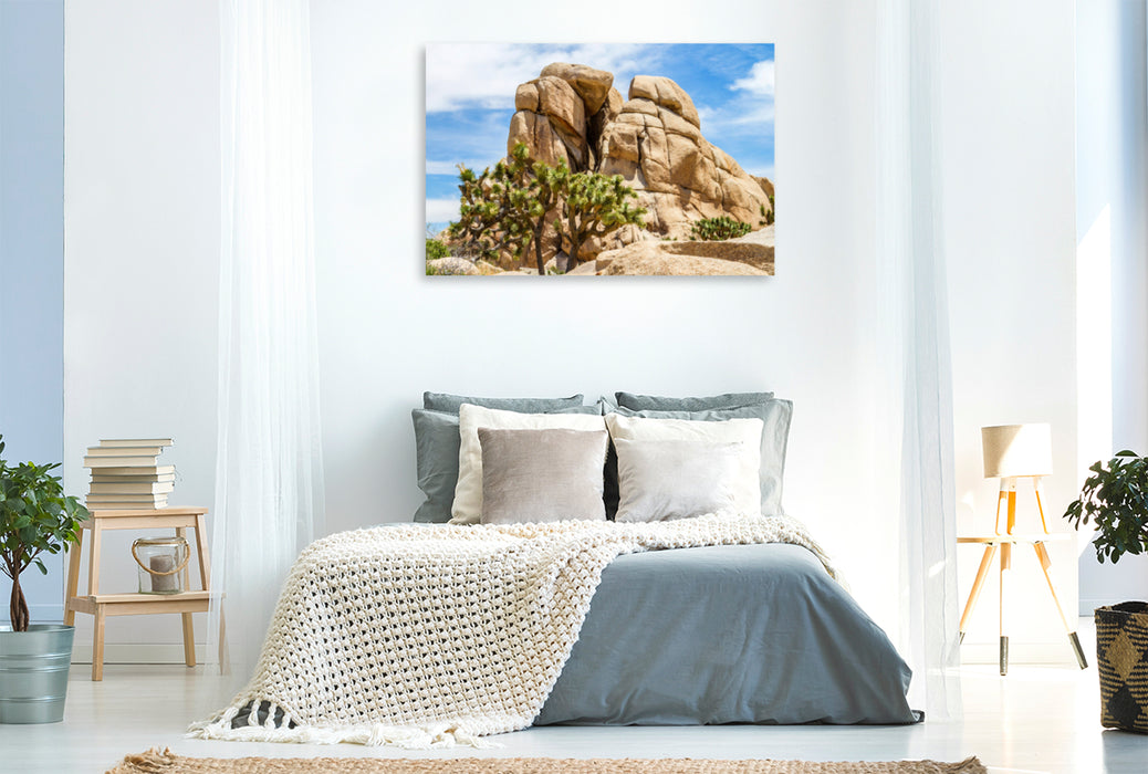 Premium Textil-Leinwand Premium Textil-Leinwand 120 cm x 80 cm quer Beeindruckender Joshua Tree National Park