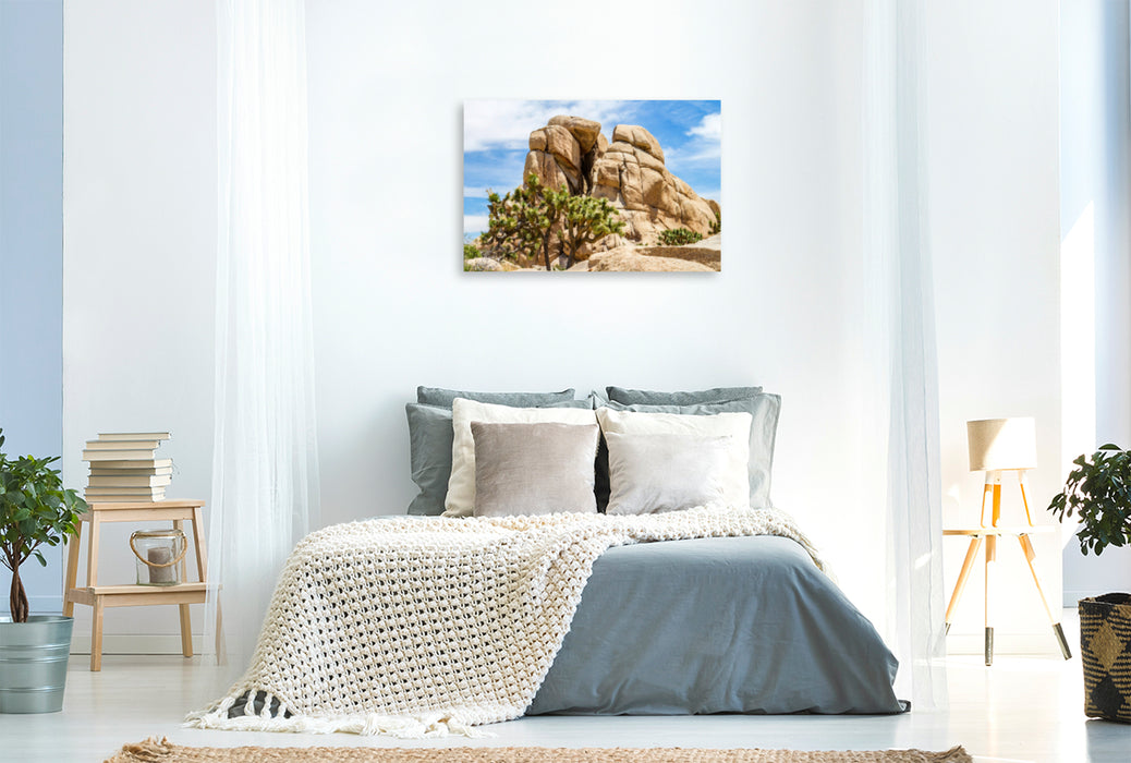 Premium Textil-Leinwand Premium Textil-Leinwand 120 cm x 80 cm quer Beeindruckender Joshua Tree National Park