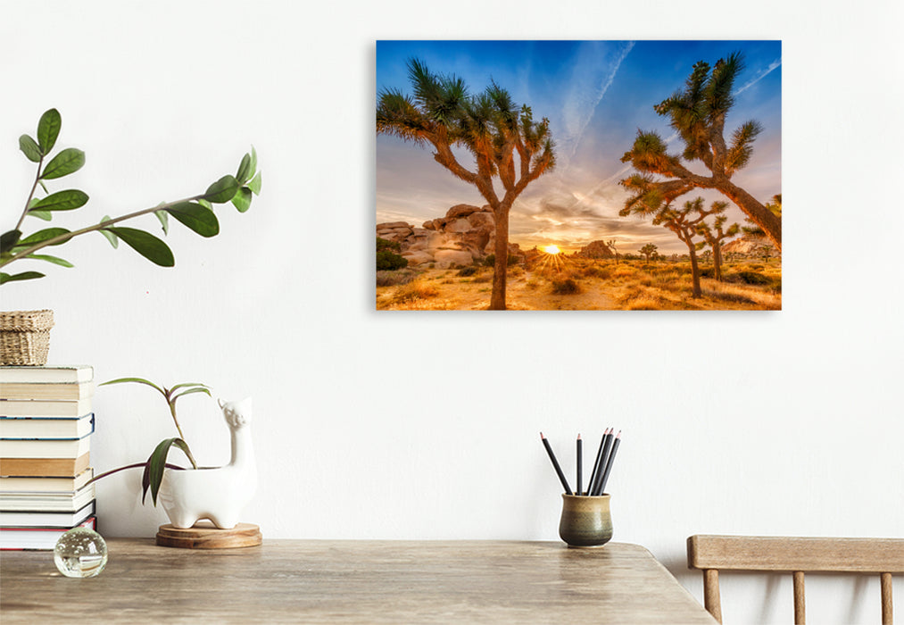 Premium Textil-Leinwand Premium Textil-Leinwand 120 cm x 80 cm quer Herrlicher Sonnenuntergang im Joshua Tree National Park