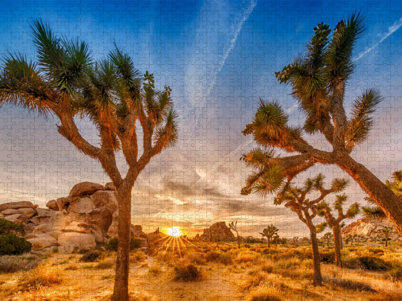 Herrlicher Sonnenuntergang im Joshua Tree National Park - CALVENDO Foto-Puzzle'