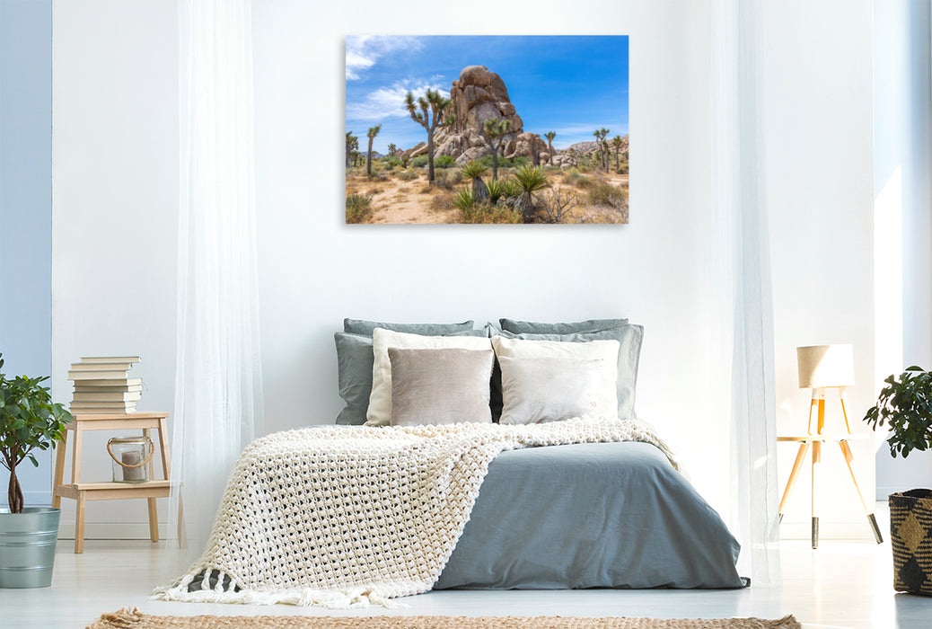 Premium Textil-Leinwand Premium Textil-Leinwand 120 cm x 80 cm quer Roadside Rock, Joshua Tree National Park