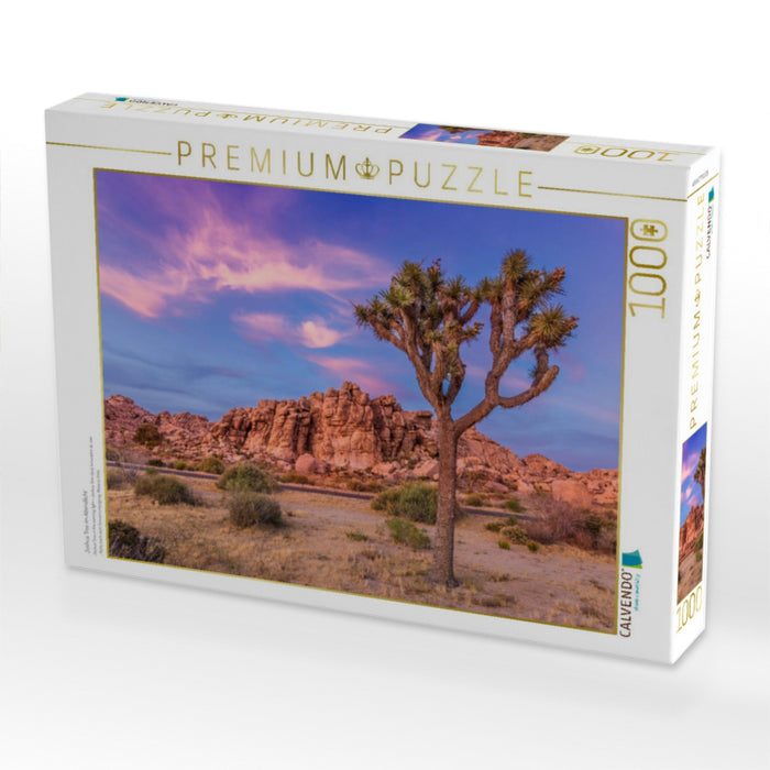 Joshua Tree im Abendlicht - CALVENDO Foto-Puzzle'