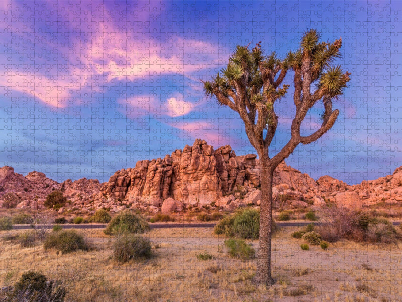 Joshua Tree im Abendlicht - CALVENDO Foto-Puzzle'