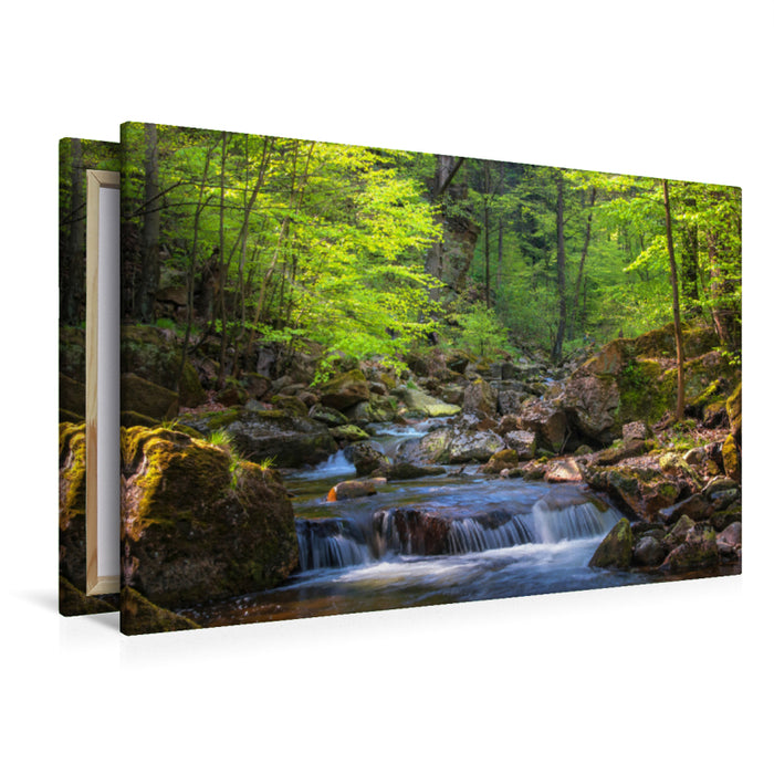 Premium Textil-Leinwand Die Ilse im Ilsetal