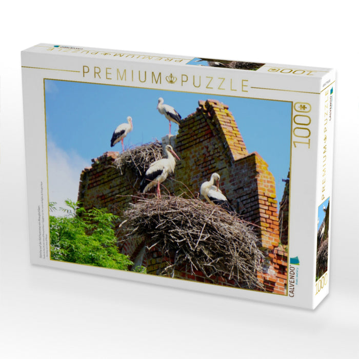 Störche auf der Kirchenruine von Kraupischken - CALVENDO Foto-Puzzle'