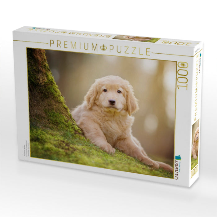 Hovawart Welpe - CALVENDO Foto-Puzzle'