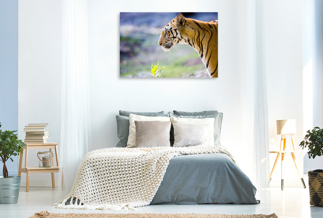 Premium Textil-Leinwand Premium Textil-Leinwand 120 cm x 80 cm quer Ein Tiger macht nur bei jedem zehnten Versuch Beute.