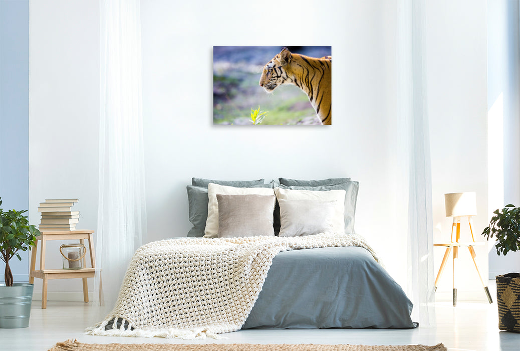 Premium Textil-Leinwand Premium Textil-Leinwand 120 cm x 80 cm quer Ein Tiger macht nur bei jedem zehnten Versuch Beute.