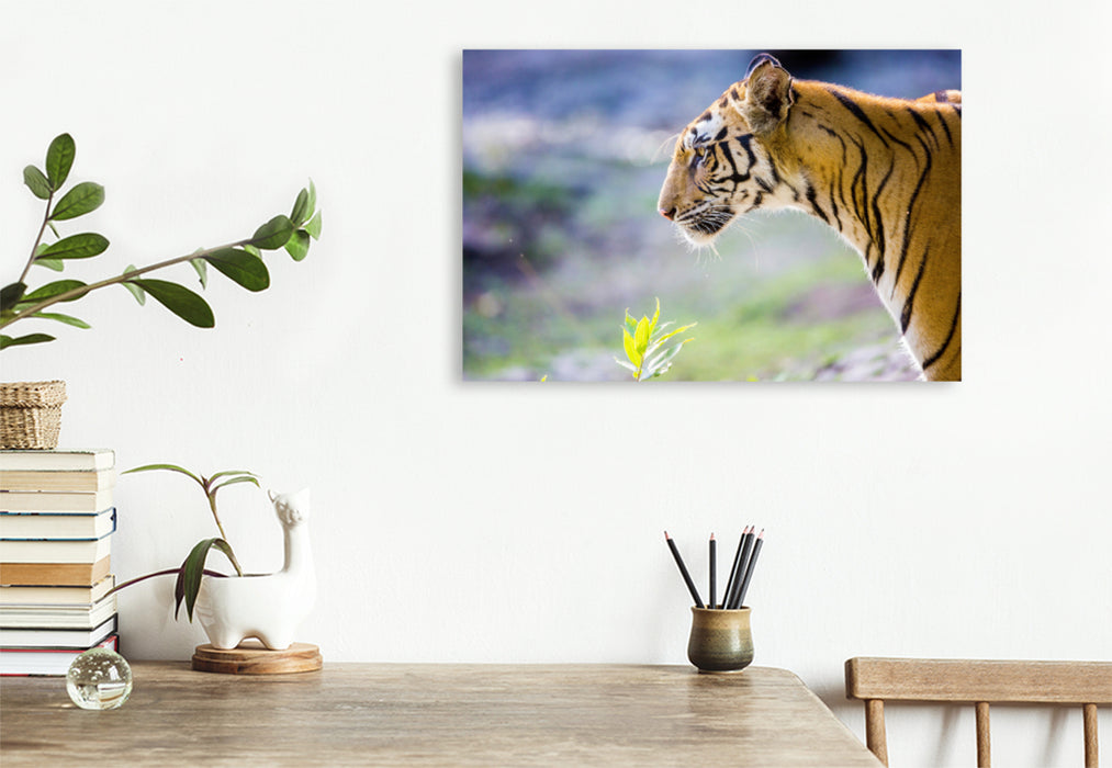 Premium Textil-Leinwand Premium Textil-Leinwand 120 cm x 80 cm quer Ein Tiger macht nur bei jedem zehnten Versuch Beute.