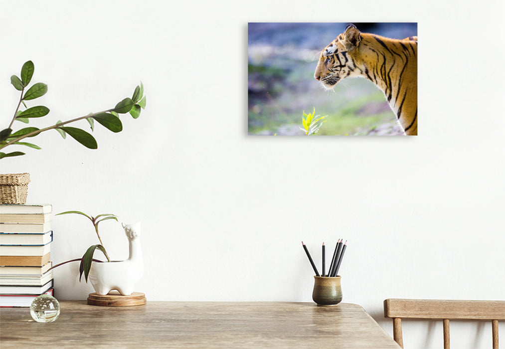 Premium Textil-Leinwand Premium Textil-Leinwand 120 cm x 80 cm quer Ein Tiger macht nur bei jedem zehnten Versuch Beute.