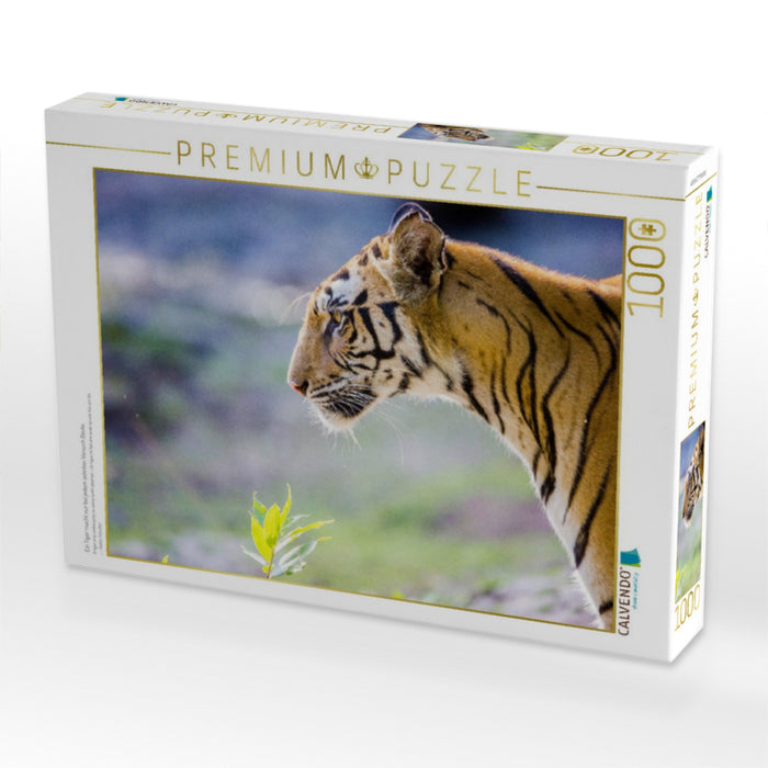 Ein Tiger macht nur bei jedem zehnten Versuch Beute. - CALVENDO Foto-Puzzle'