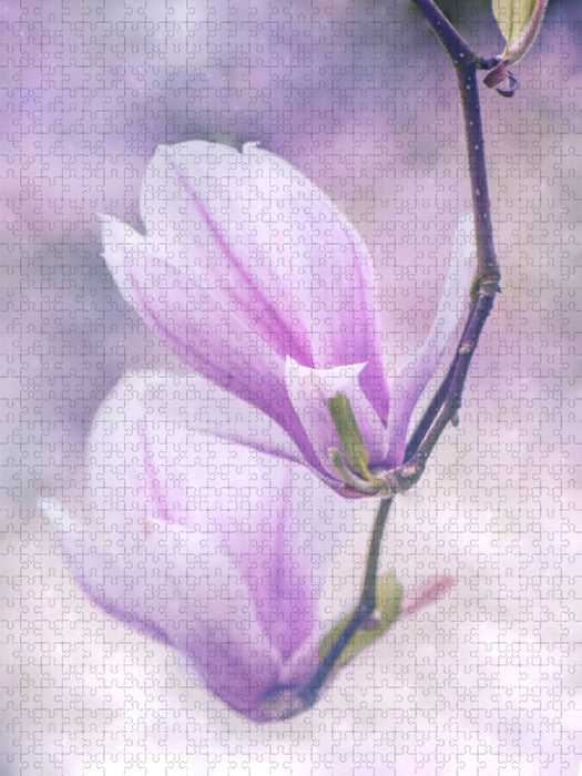 Magnolien - CALVENDO Foto-Puzzle'