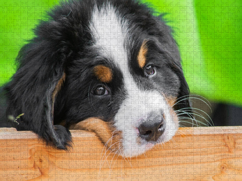 Kann man das fressen? - CALVENDO Foto-Puzzle'