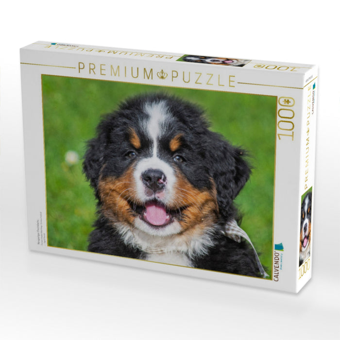 Neugieriger Frechdachs - CALVENDO Foto-Puzzle'