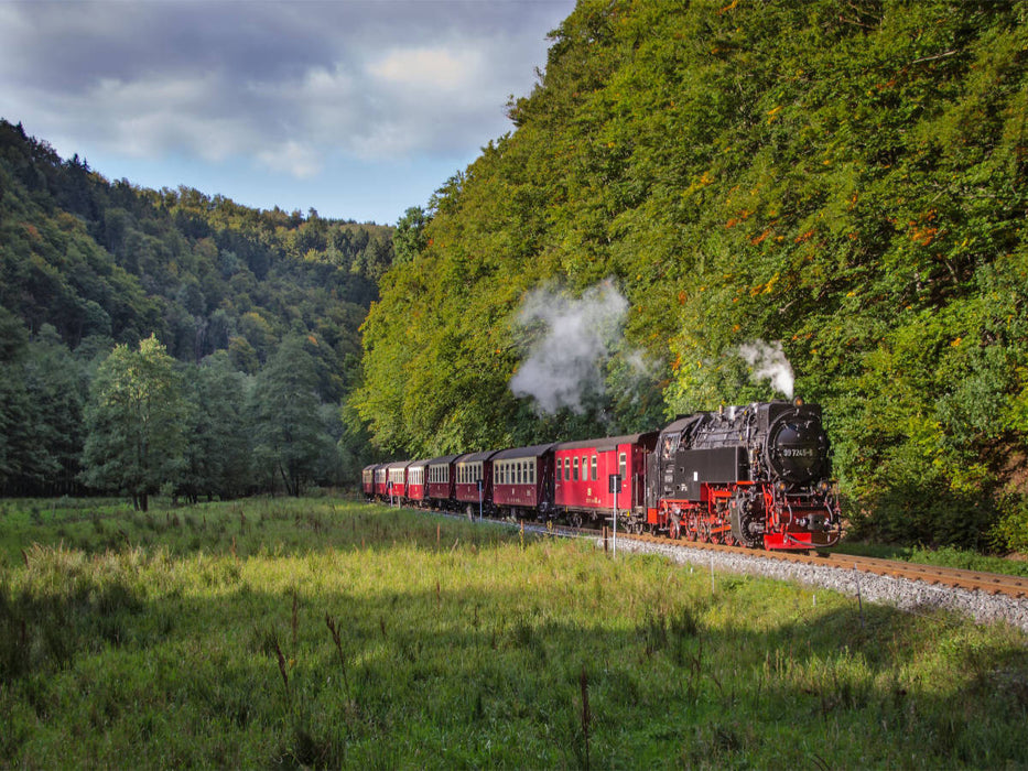 Harzquebahn an der Eichsfelder Talmühle - CALVENDO Foto-Puzzle'