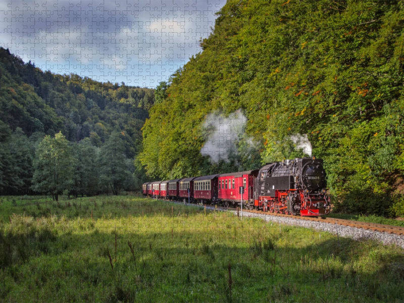 Harzquebahn an der Eichsfelder Talmühle - CALVENDO Foto-Puzzle'