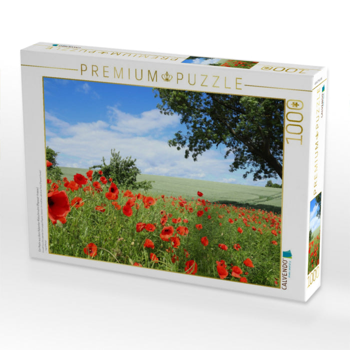 Ein Motiv aus dem Kalender Klatschmohn (Papaver rhoeas) - CALVENDO Foto-Puzzle'