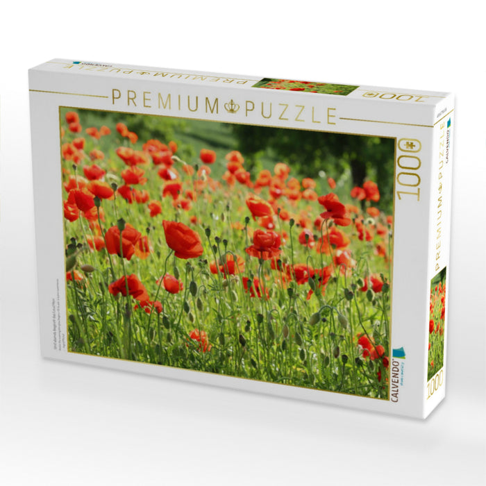 Und abends beginnt das Leuchten - CALVENDO Foto-Puzzle'