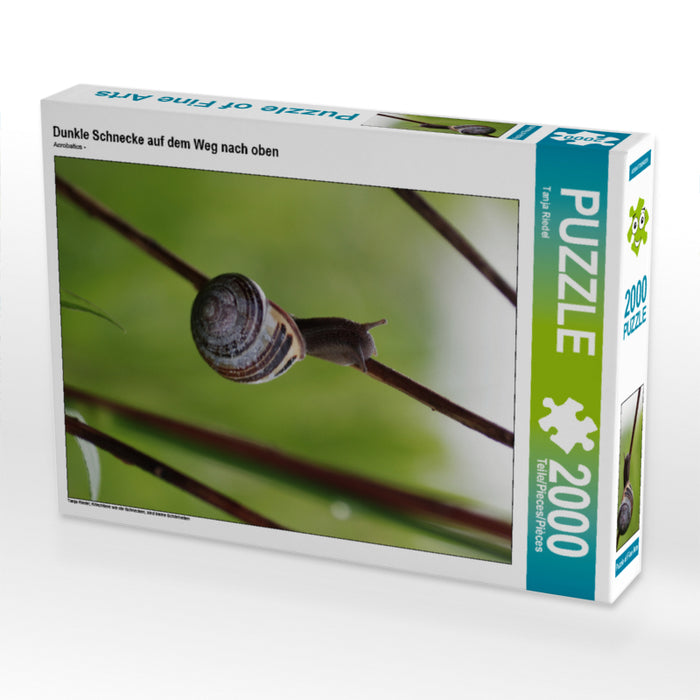 Dark snail on the way up - CALVENDO photo puzzle 