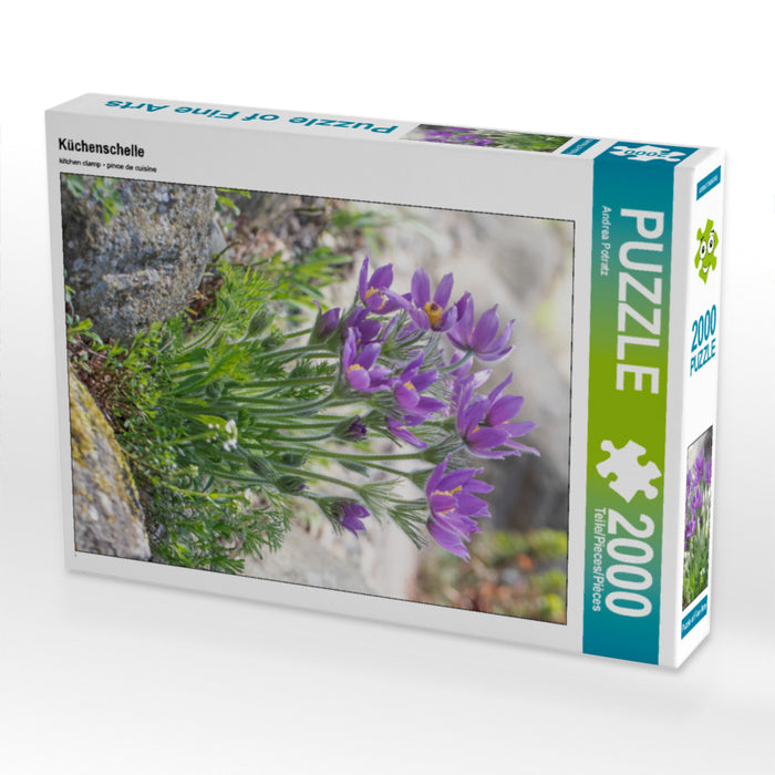 Anémone fulgurante - Puzzle photo CALVENDO 
