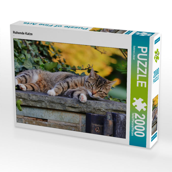 Resting cat - CALVENDO photo puzzle 