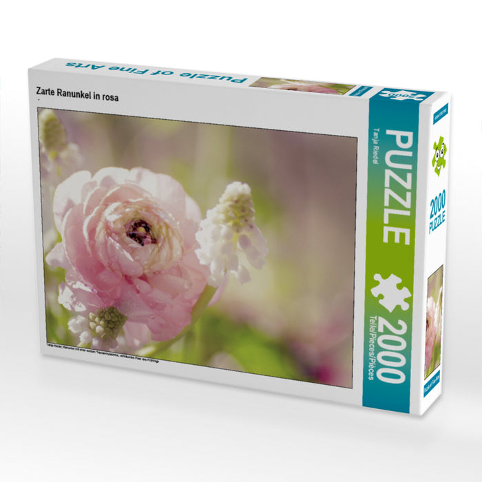 Renoncule délicate en rose - Puzzle photo CALVENDO 