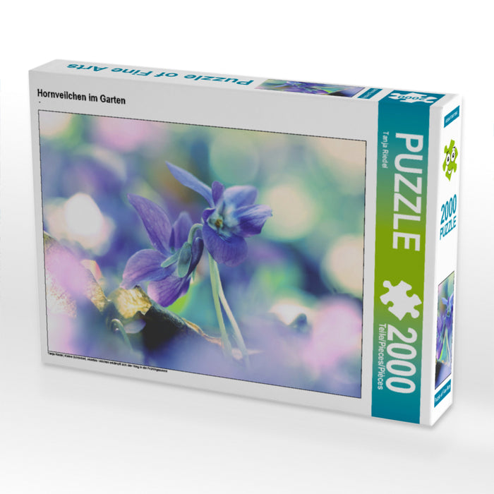 Hornveilchen im Garten 2000 Teile Puzzle quer - CALVENDO Foto-Puzzle'