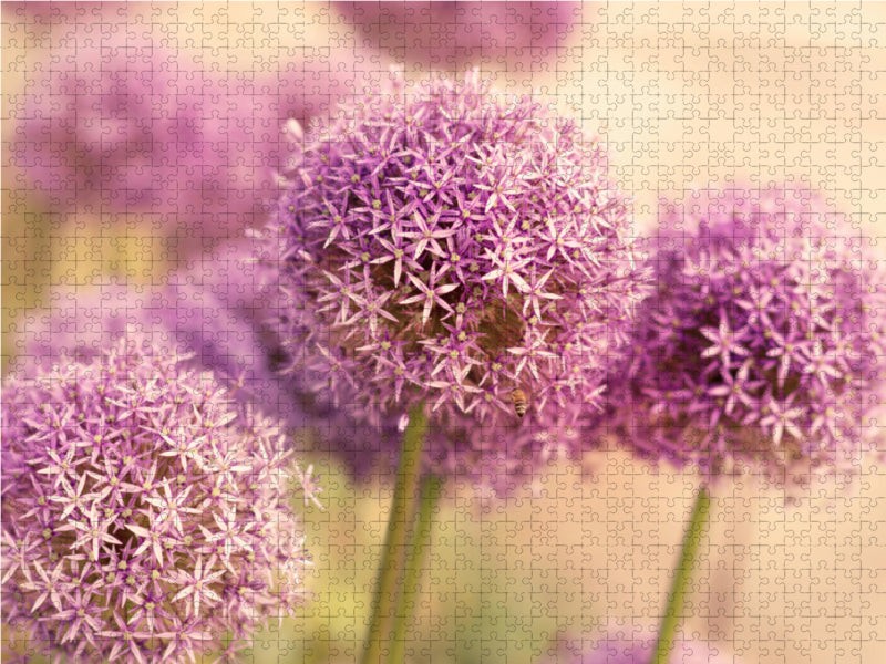 Ein Motiv aus dem Kalender Blüten Symphonien aus den Gärten dieser Erde 2000 Teile Puzzle quer - CALVENDO Foto-Puzzle'
