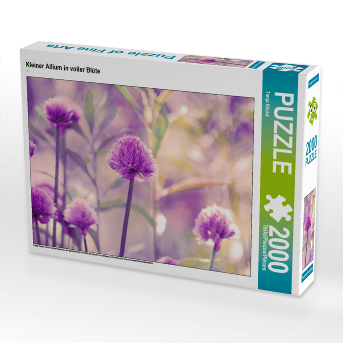 Petit allium en fleur - Puzzle photo CALVENDO 