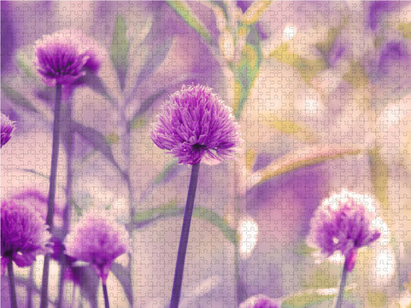 Petit allium en fleur - Puzzle photo CALVENDO 